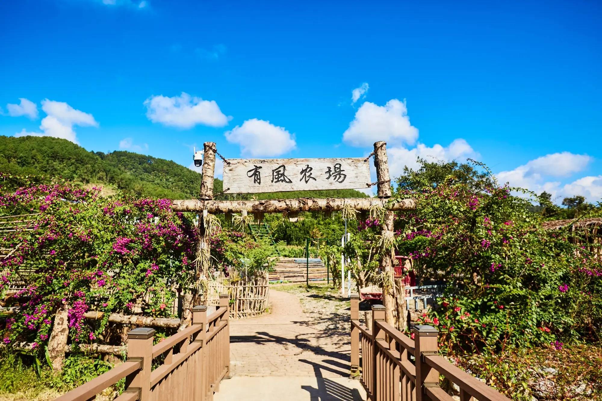 普洱思茅南岛河村美丽星村云南本土与现代技