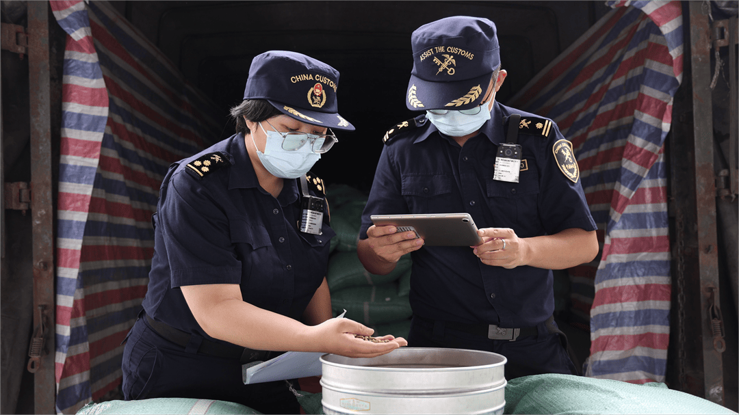 落地加工”激活咖啡产业增收新动能开元棋牌app河口：“边民互市+